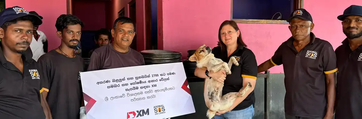 保護(hù)斯里蘭卡流浪動(dòng)物(圖3) Food Donation 6.webp