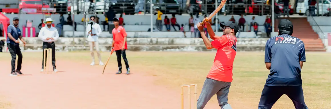 保護(hù)斯里蘭卡流浪動(dòng)物